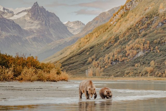 Alaska