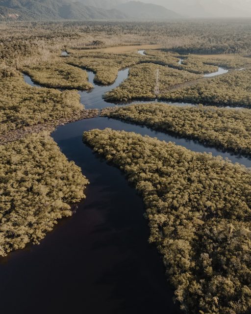 South America & Amazon