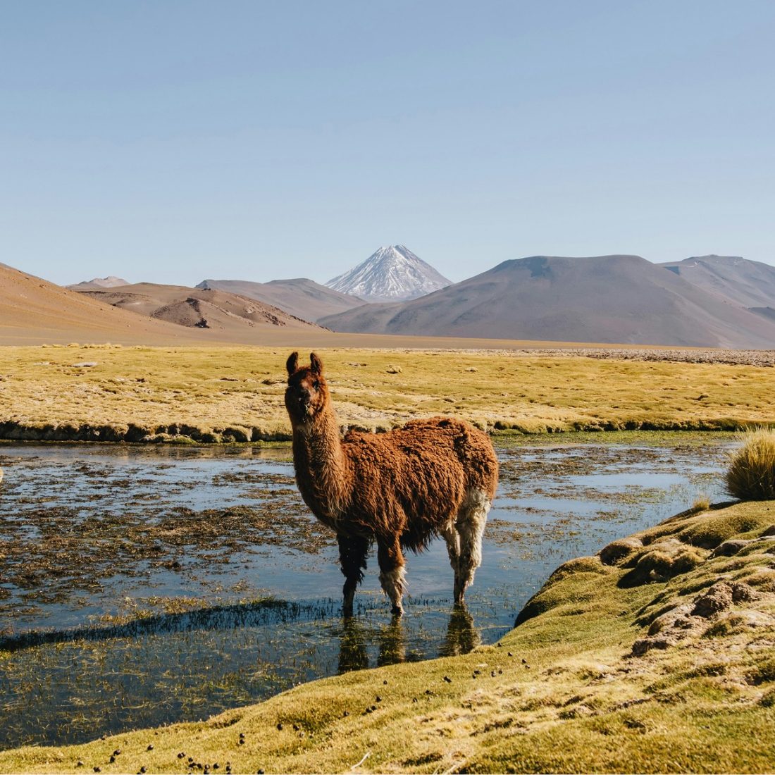 Patagonia: The End Of The World